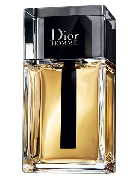 visiere christian dior homme|Dior Homme original for men.